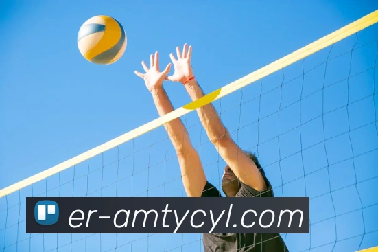 太阳城网站平台生态图